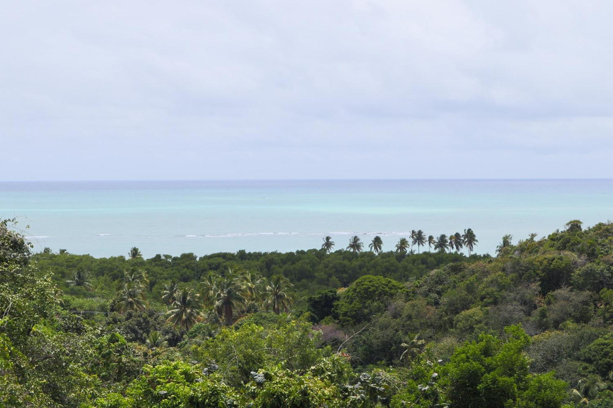 Pitanga 2 Maceió